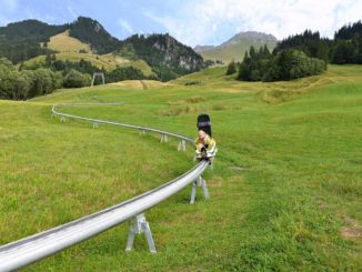 Luge d’été au Lac Noir