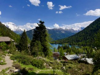 Jardin Botanique Flore-Alpe de Champex-Lac