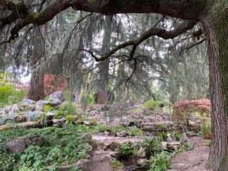 Jardin Botanique et Alpin de Meyrin