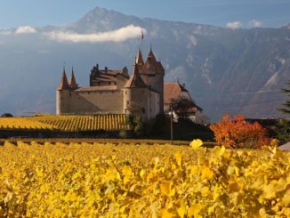 Château d’Aigle