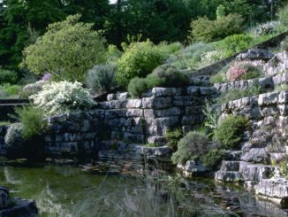 Jardin Botanique de Lausanne